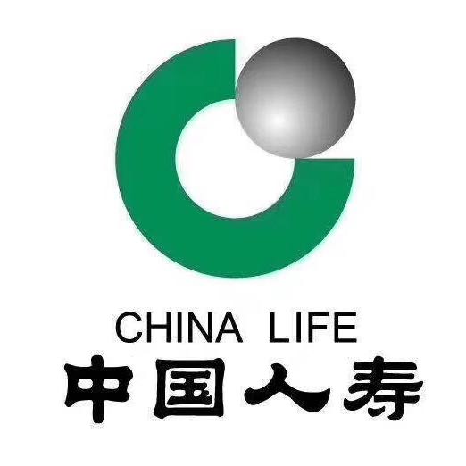 中国人寿保险公司